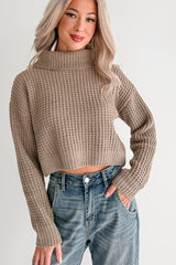 Snug Session Turtleneck Chenille Crop Sweater (Sage)