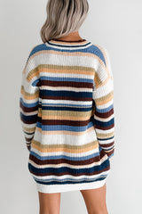 Carefree Comfort Striped Knit Cardigan (Blue/Multi)