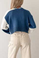 Couch Club Colorblock Long Sleeve Cardigan (Blue Combo)