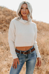 Snug Session Turtleneck Chenille Crop Sweater (Ivory)